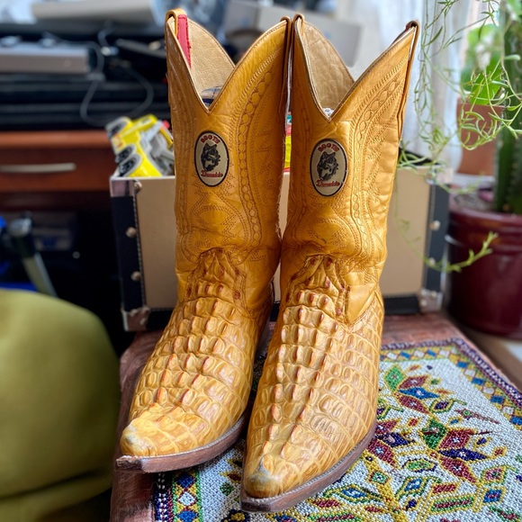 Beautiful Donaldo Authentic Mexican 